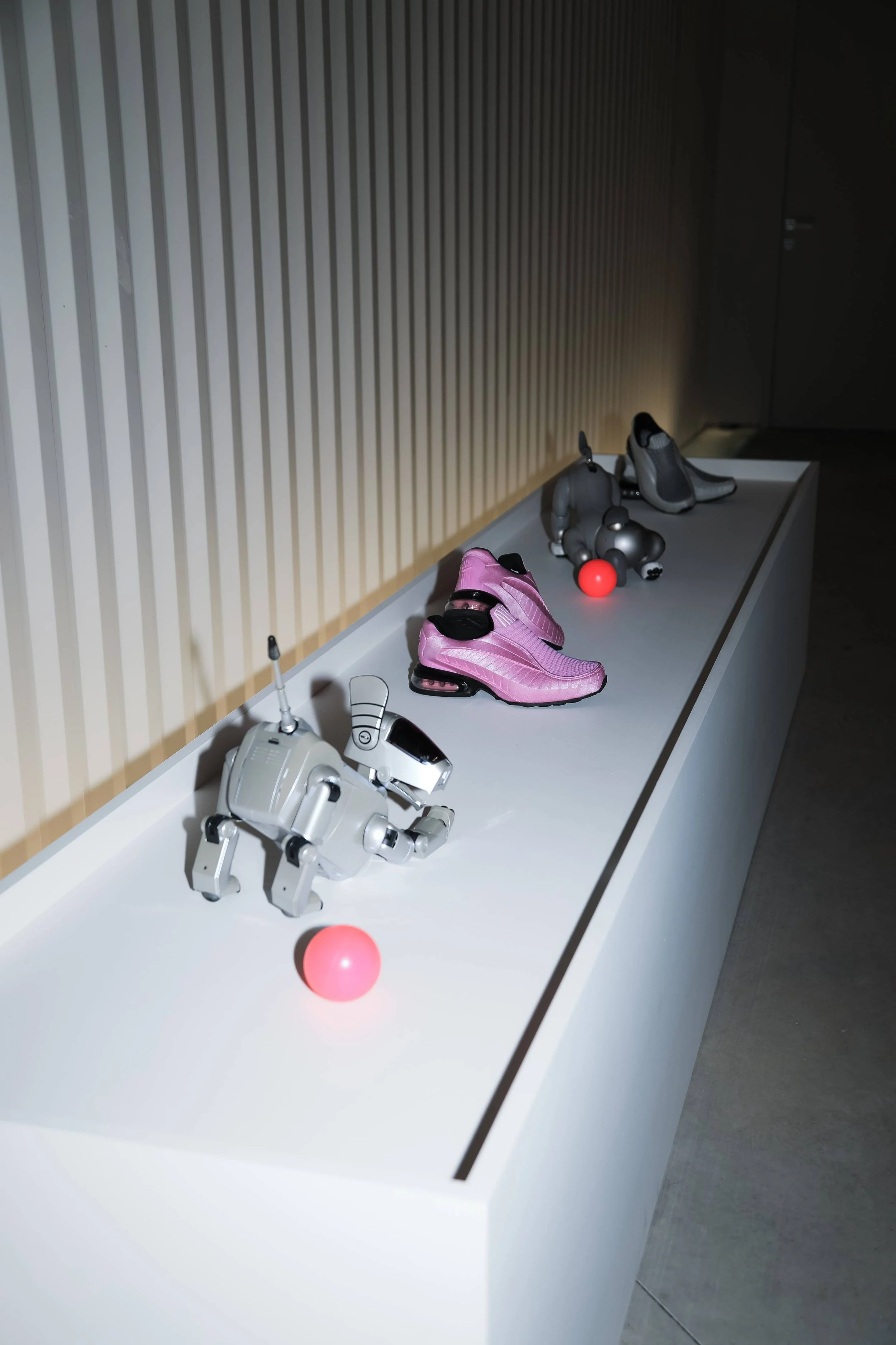 Dolce XOXO powered by SNKRS