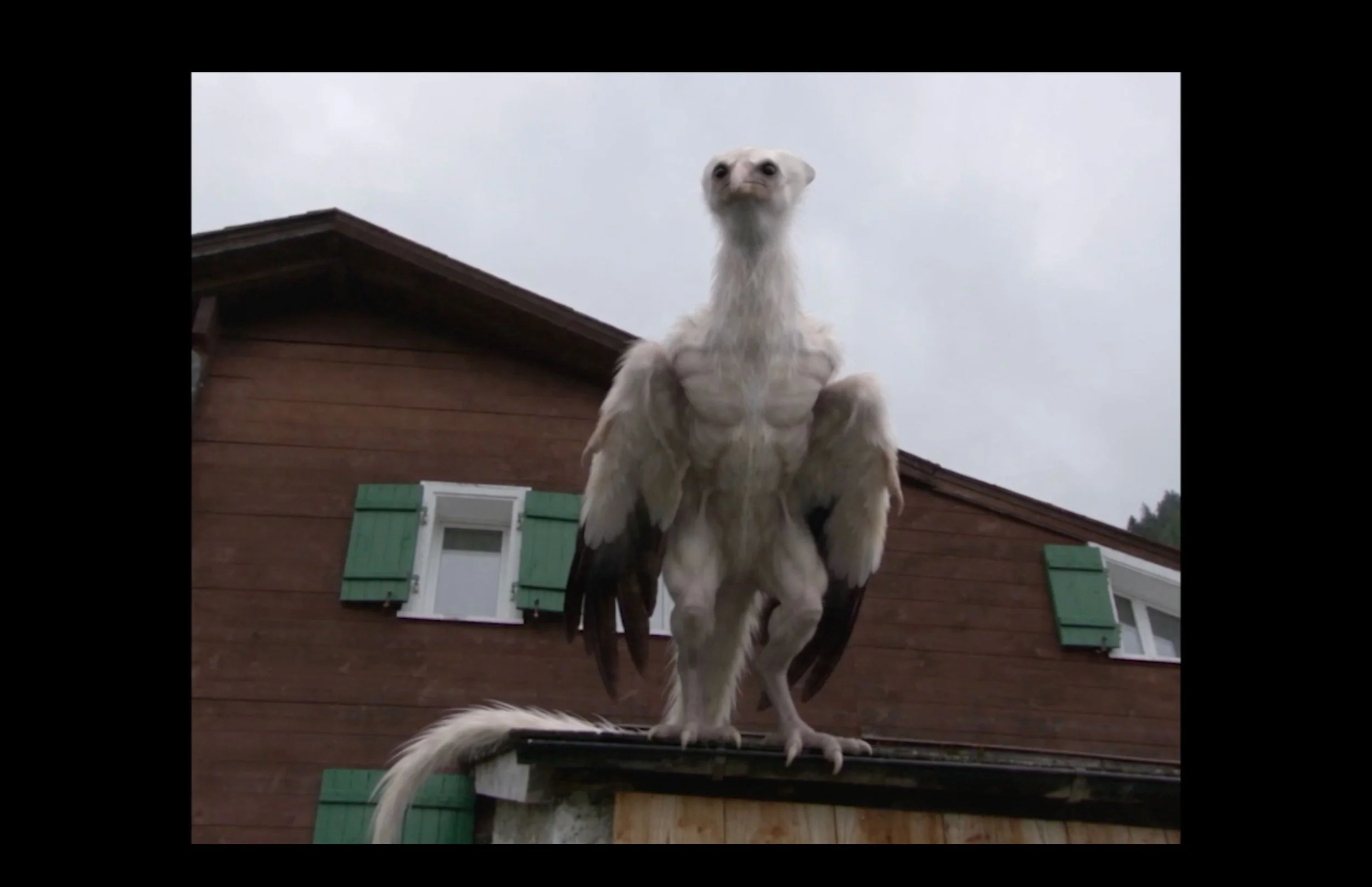 STILLS(3).png