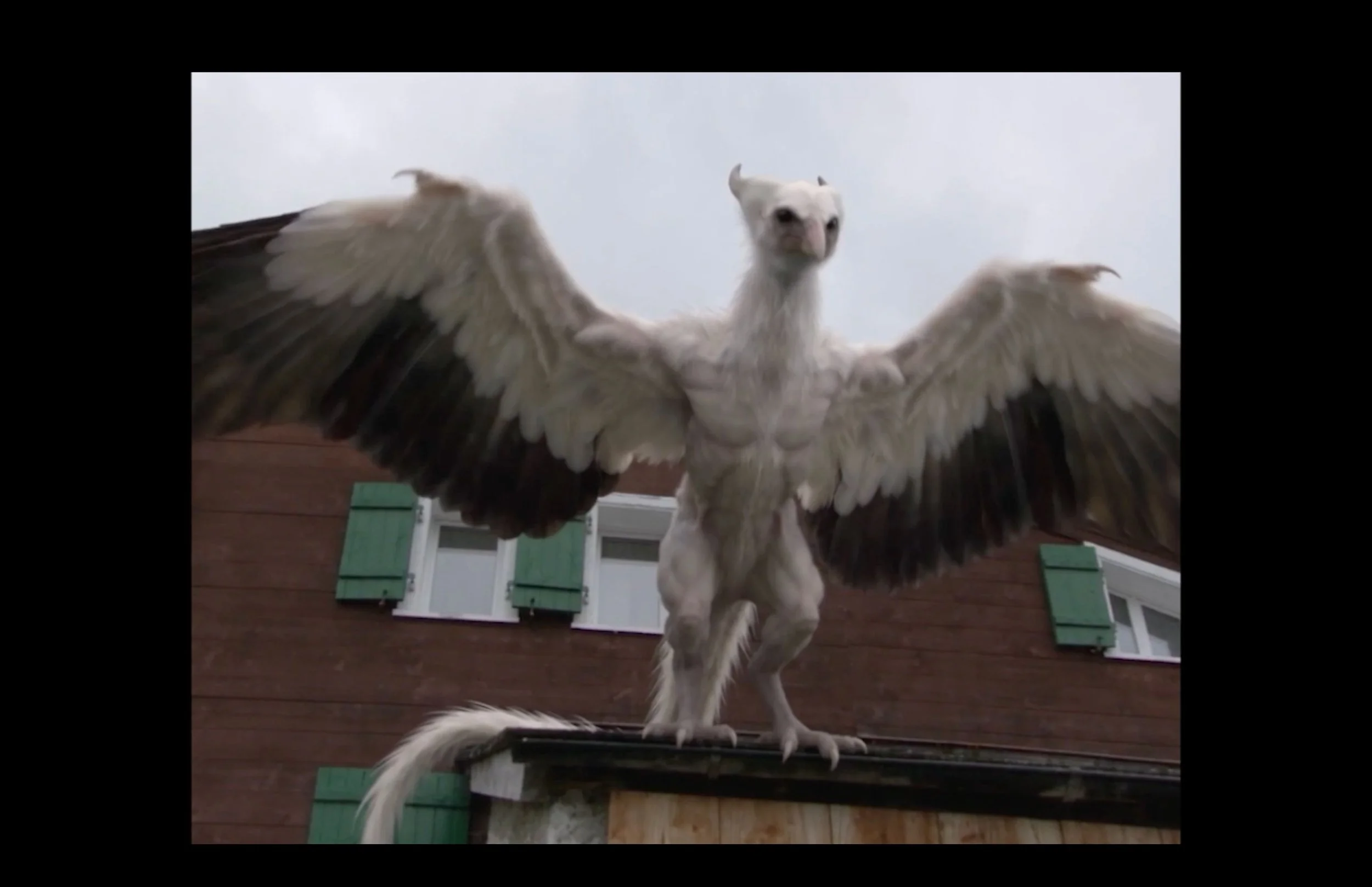 STILLS(4).png