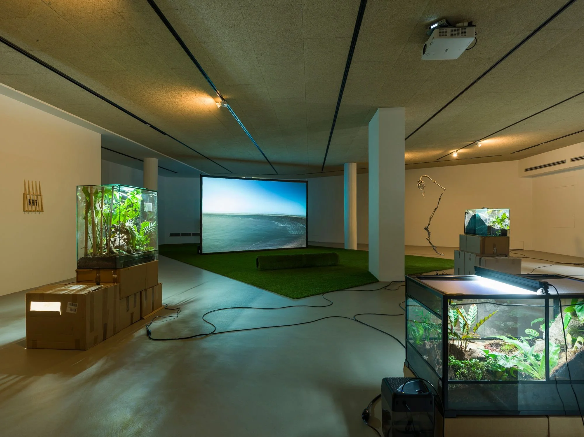 Future) Paradise Gardens: growing the present after twenty years