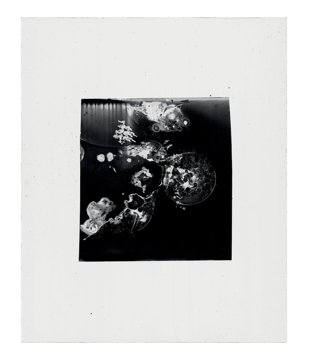 Niccol Quaresima Coeval Magazine niccol-quaresima-coeval-magazine