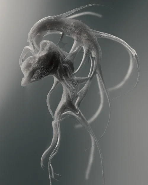 Lisa Meinesz COEVAL Magazine lisa-meinesz-coeval-magazine