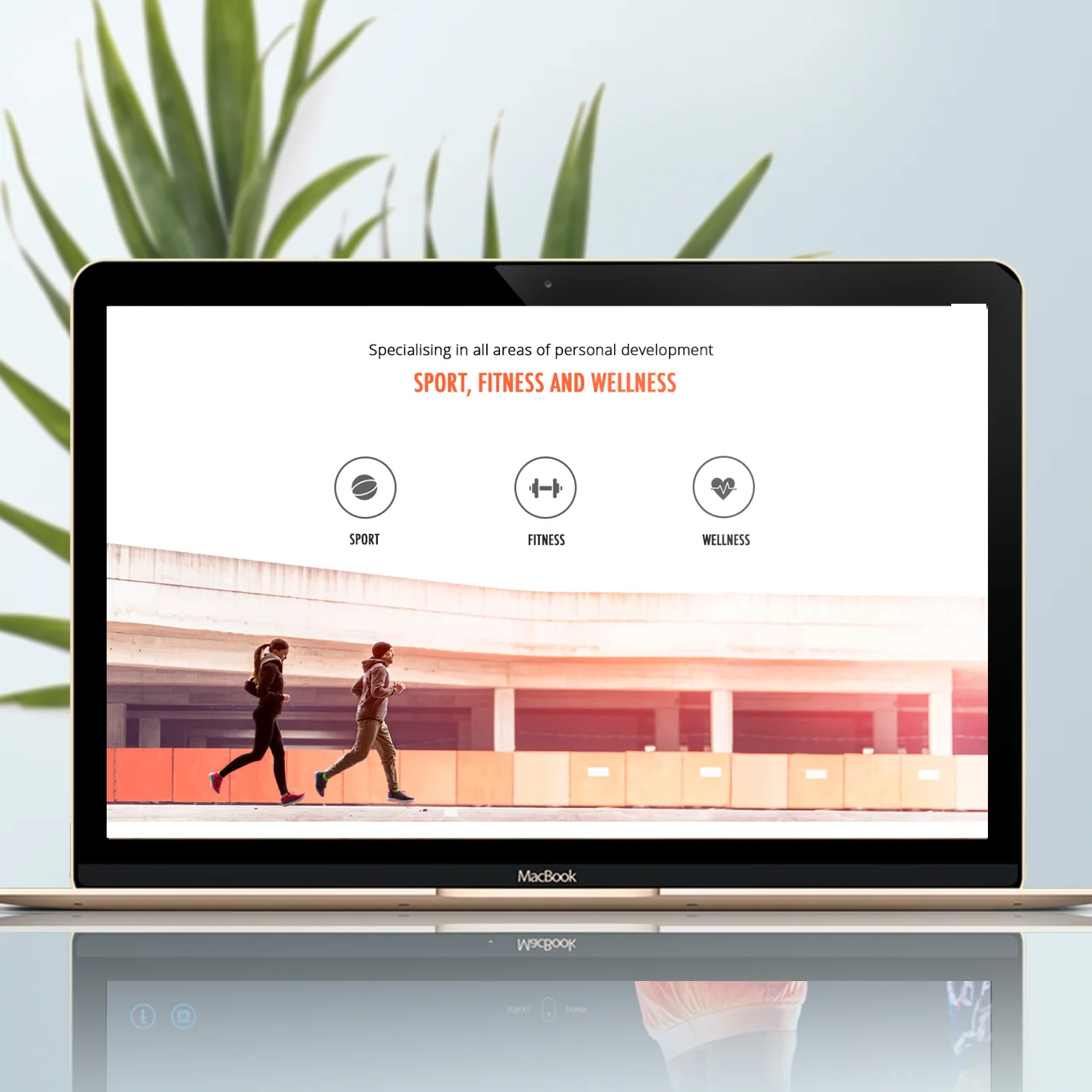 Coachactive-04.jpg