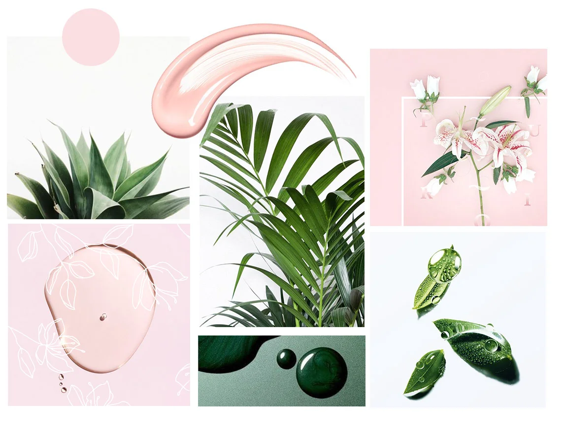 Above, brand Identity mood board featuring soft pinks and organic elements, as well as some botanical illustrations. Below, some branded business stationery items as well as some website shots