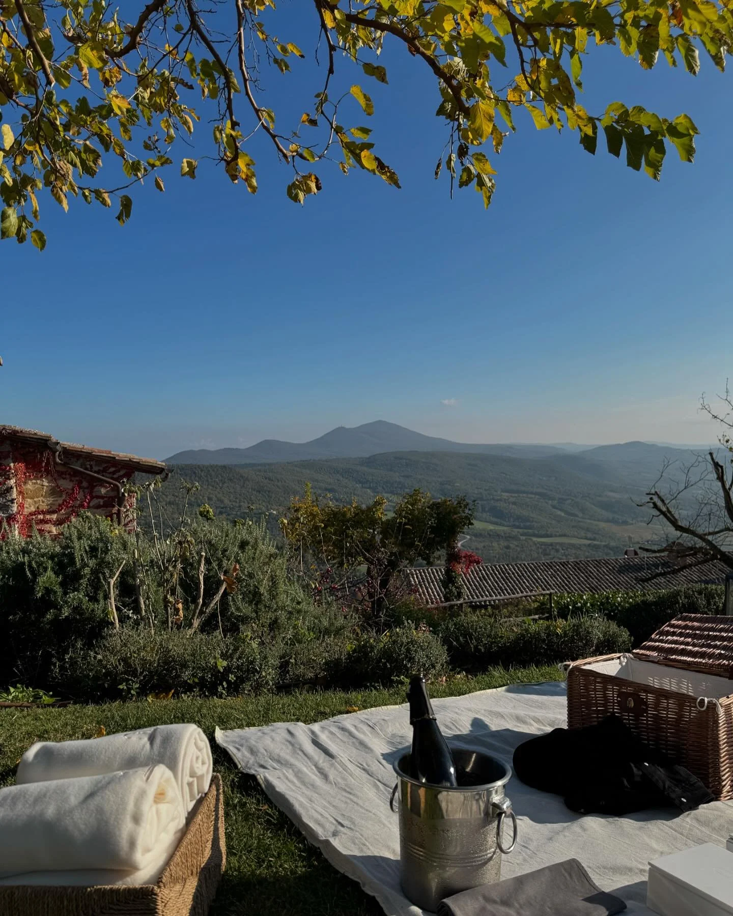 Perfect picnic spot ✨