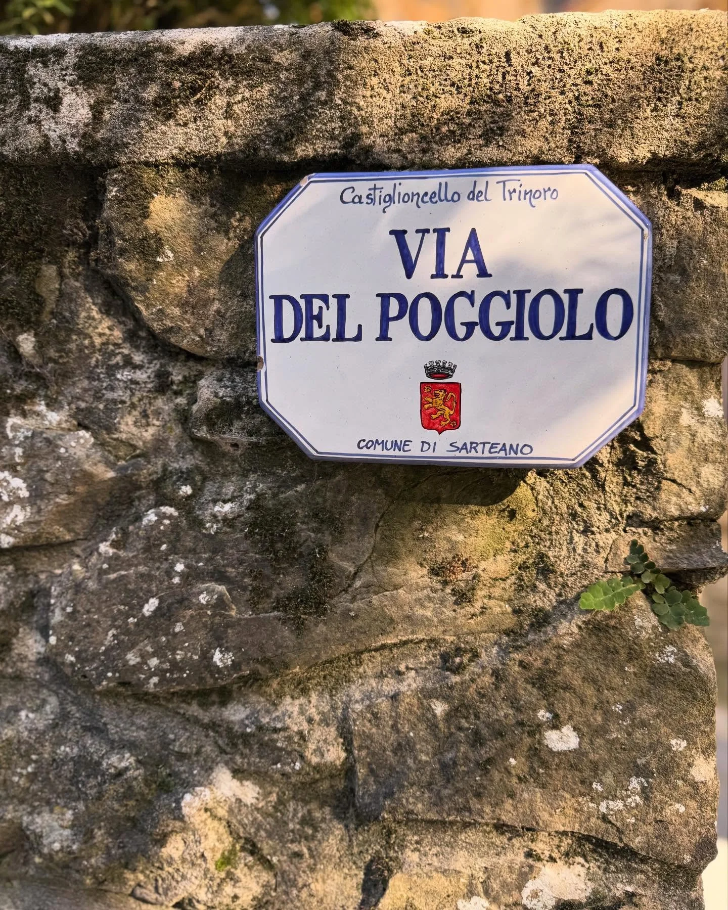 Wishing the excellent Monteverdi Tuscany team a happy reopening day 💚
#monteverdituscany