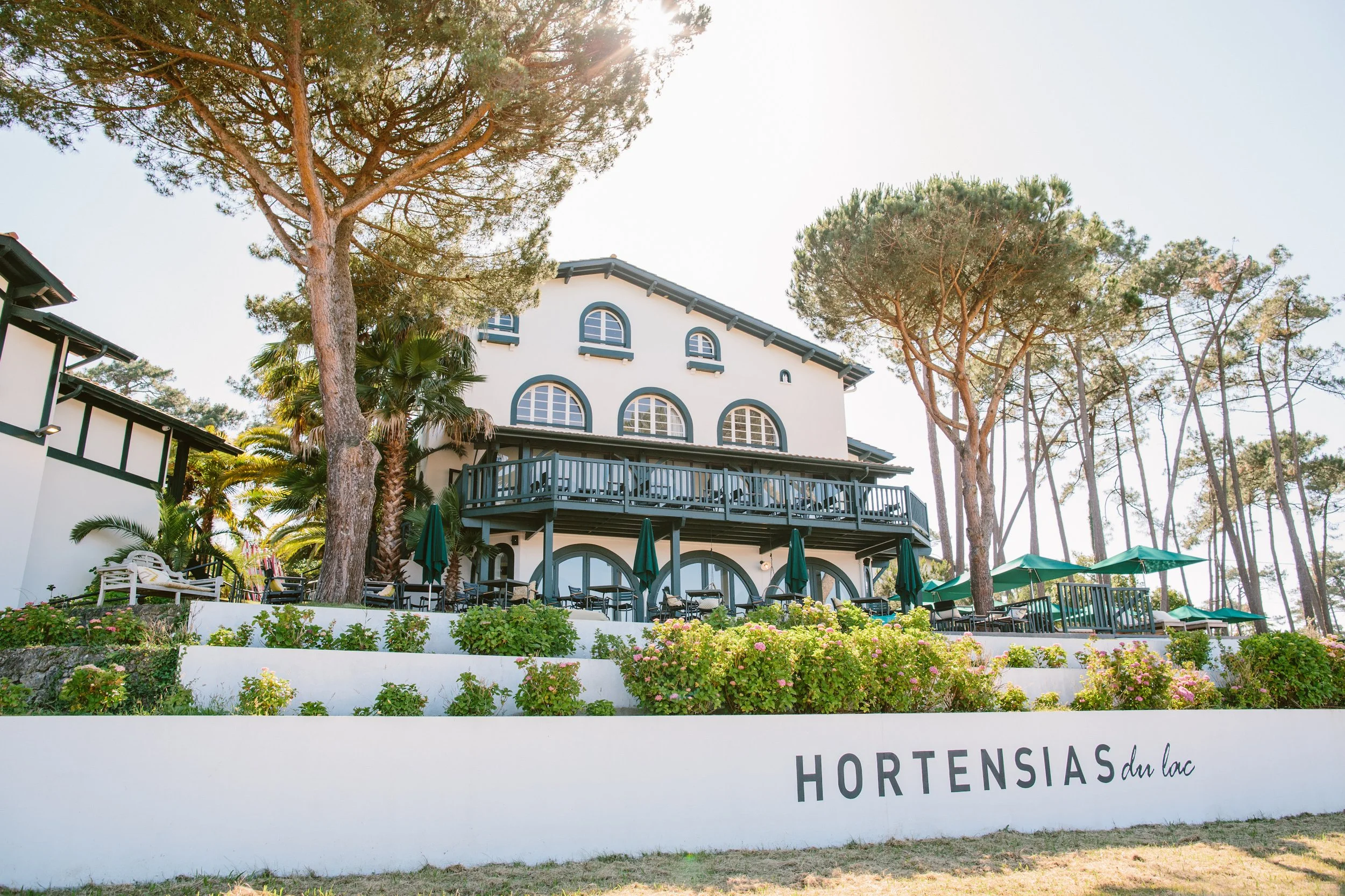 HortensiasMai2020-celinehamelin.com-120-_O1B9655.jpg