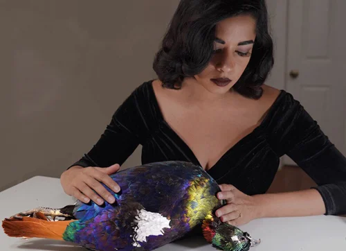 Divya.jpg