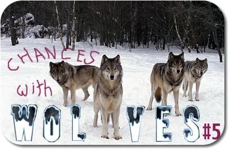 wolves#5.jpg