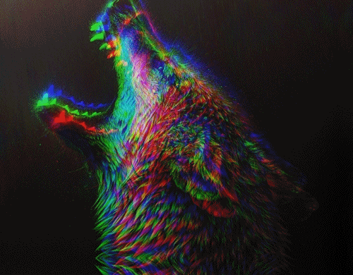 tumblr_muf9vbGOlR1r2nwedo1_500.gif