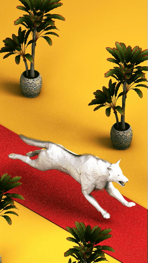 tumblr_nlilczAg0T1sdi2fqo1_1280 (1).GIF