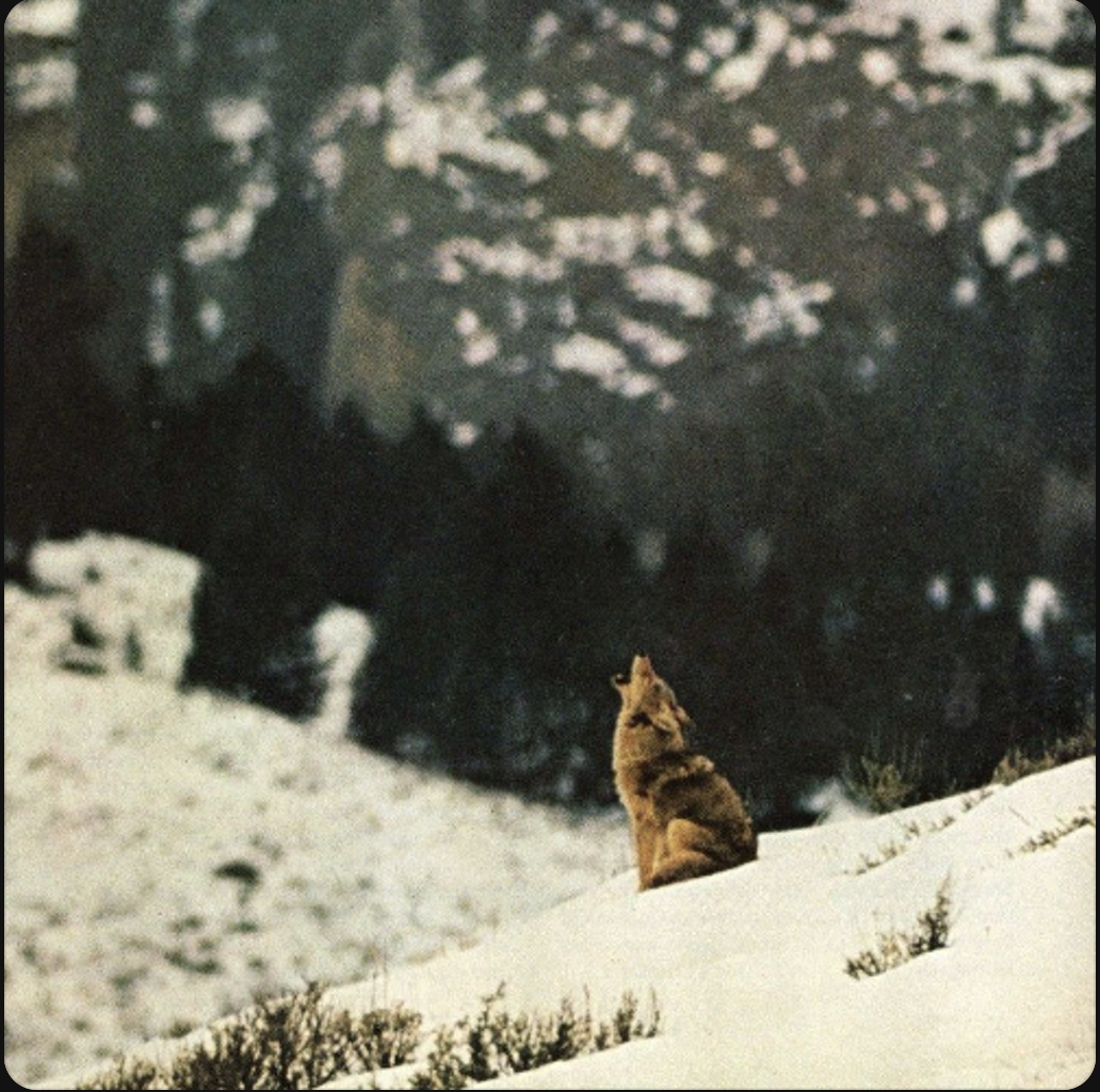 Screenshot 2025-12-24 at 2.28.37 PM.png