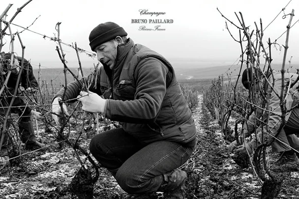 brunopaillard_v01.jpg