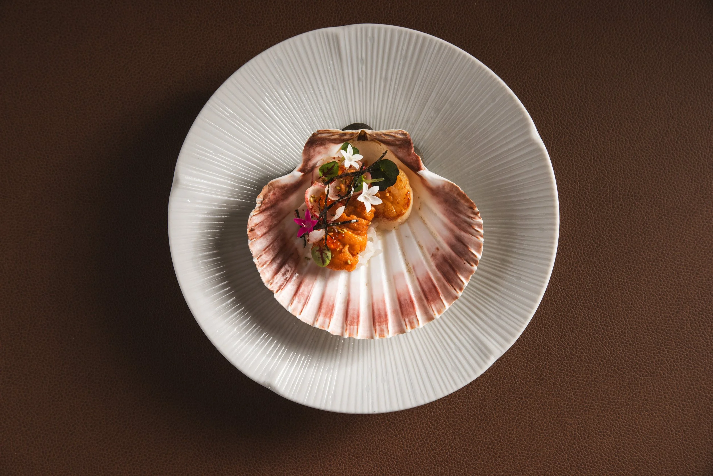 2026-02-19_Sepia_Scallop-39479.jpg