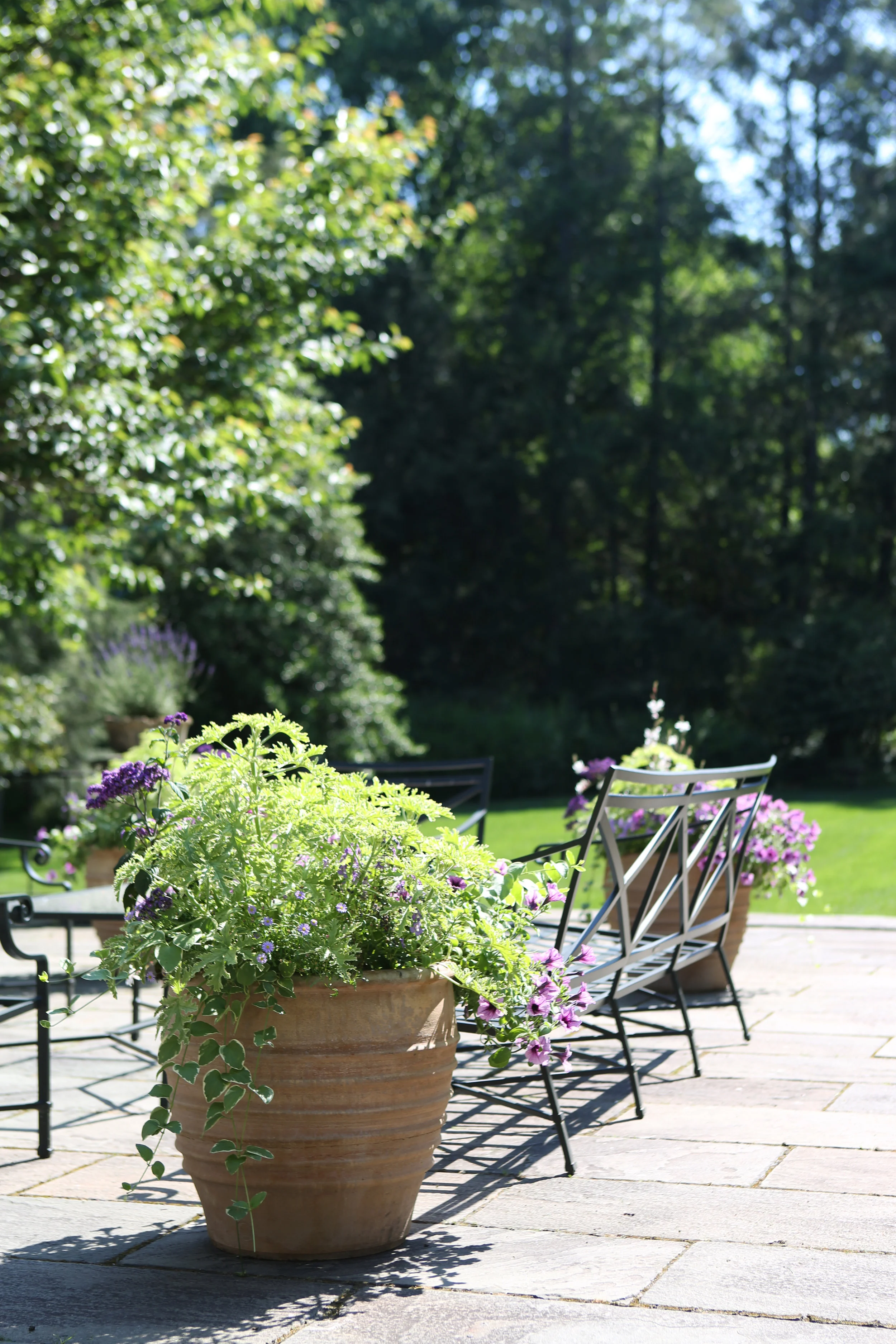 Terrace Terracotta Planters.jpg