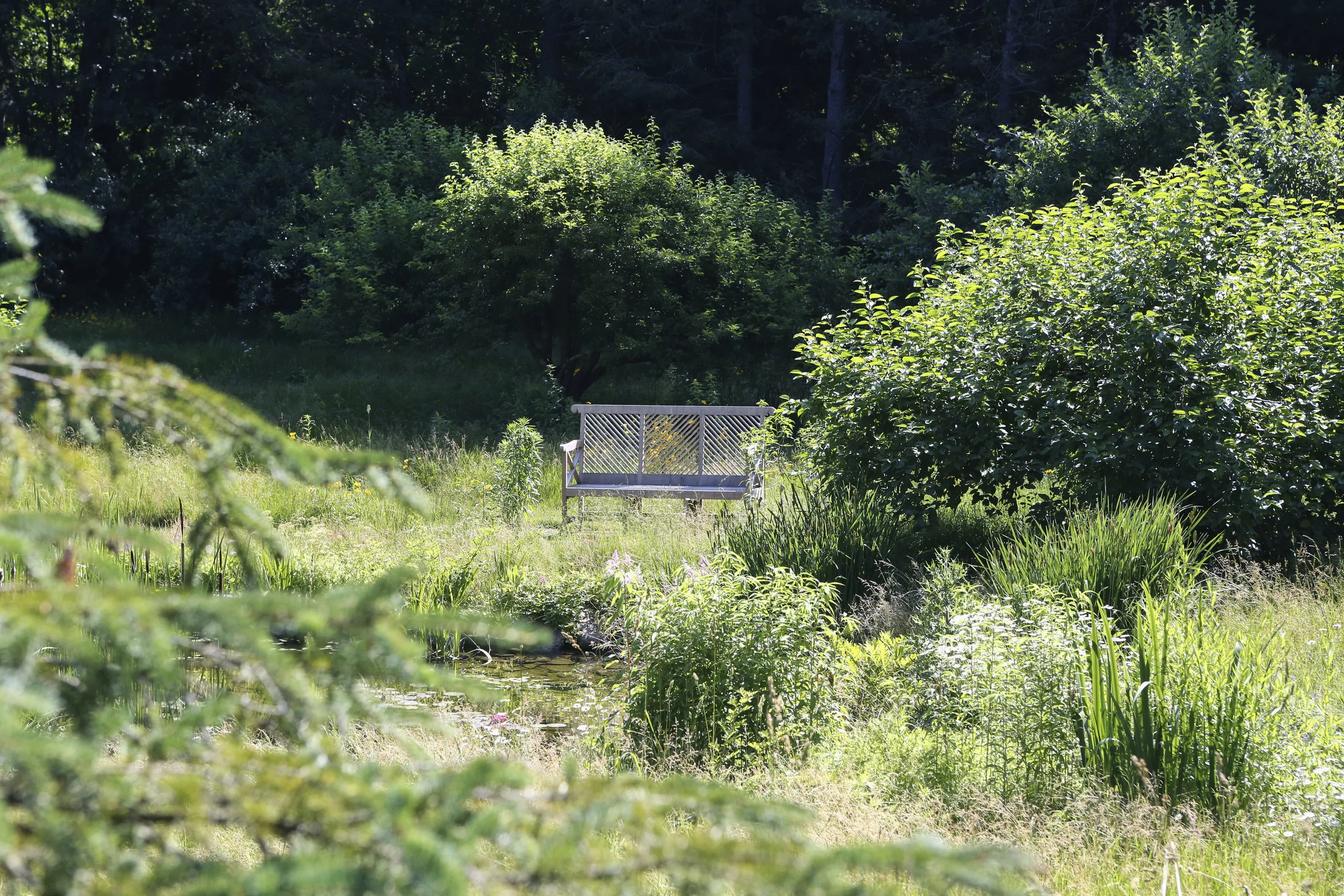 Munder Skiles Bench.jpg
