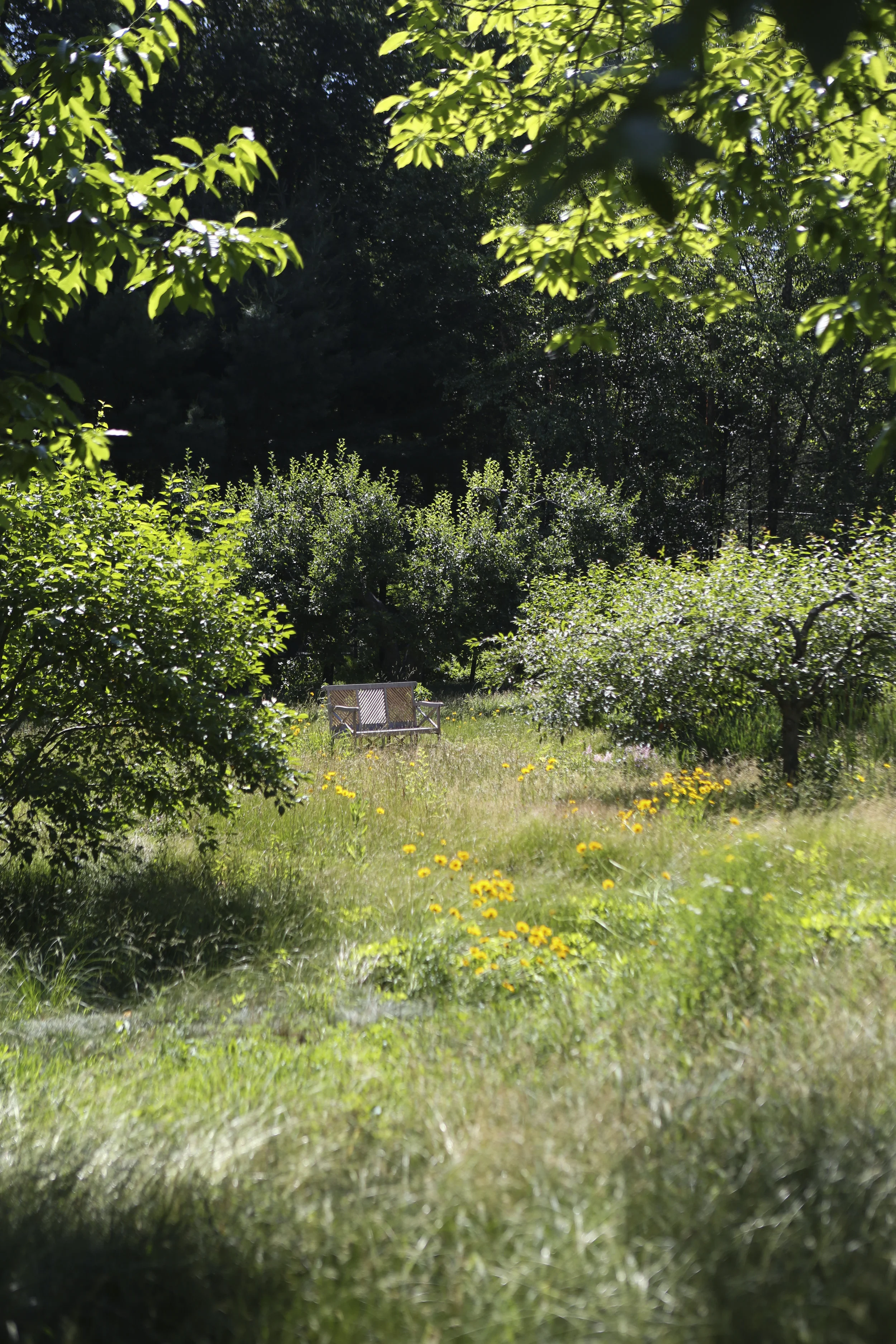 Munder Skiles Bench Vista.jpg