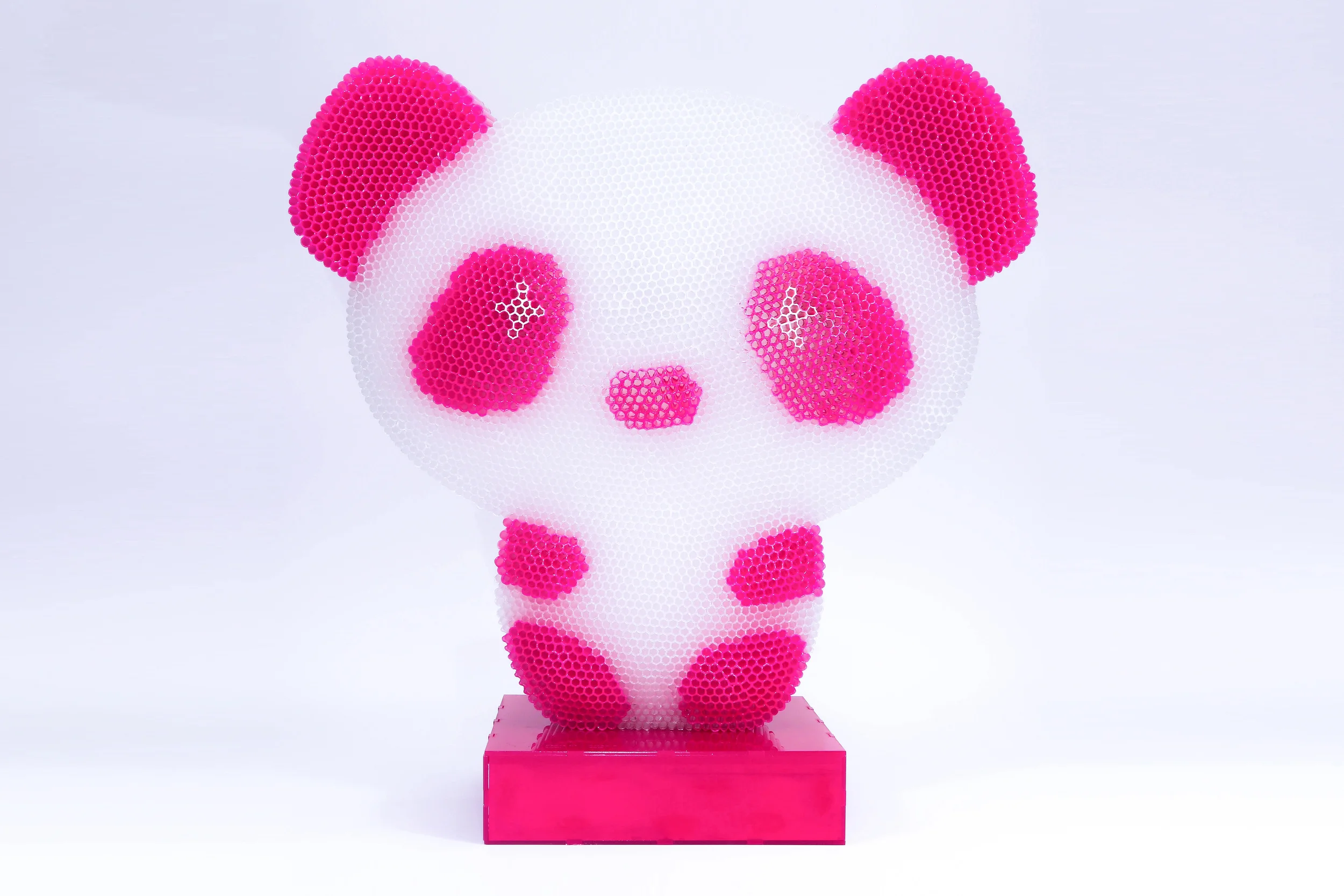Panda PT Face LR.jpg