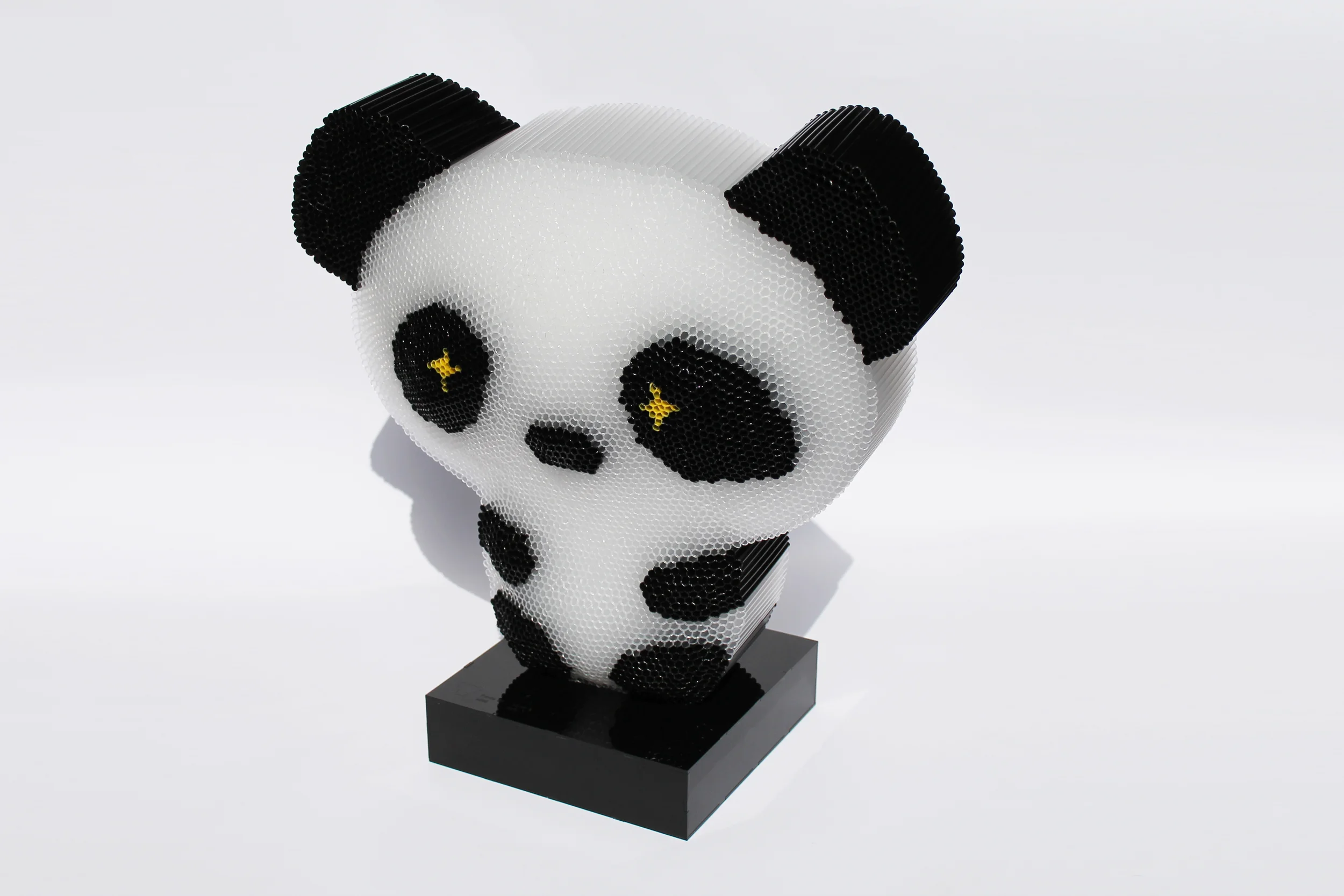 panda BT coté devant 2.jpg