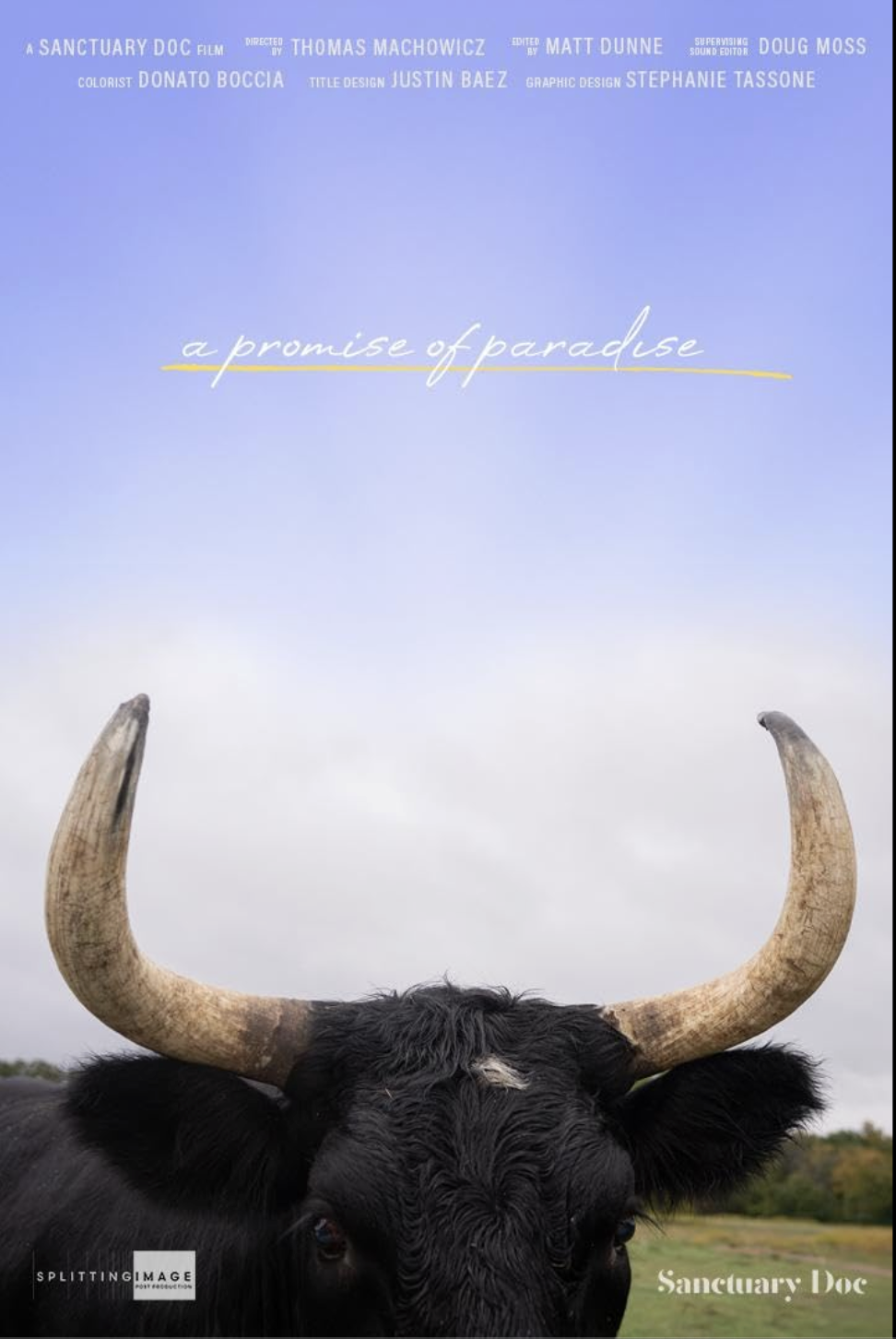 A Promise of Paradise