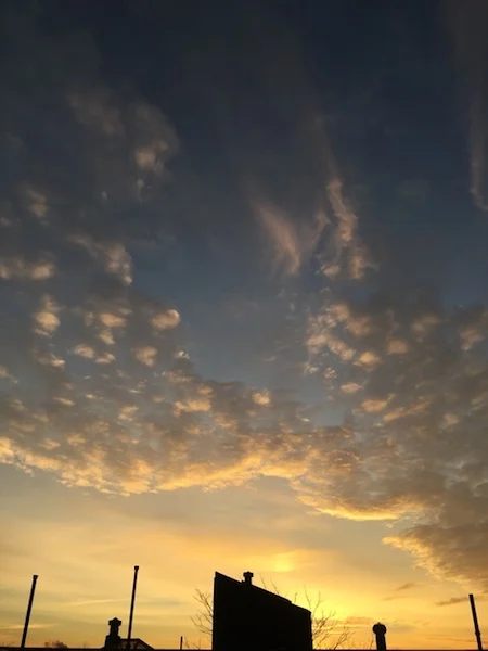 Full Moon Post 9: Fangs