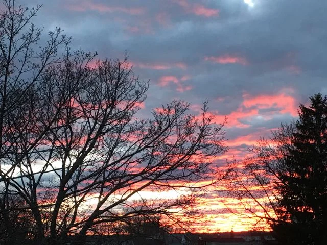 Full Moon Post 12: Vitality