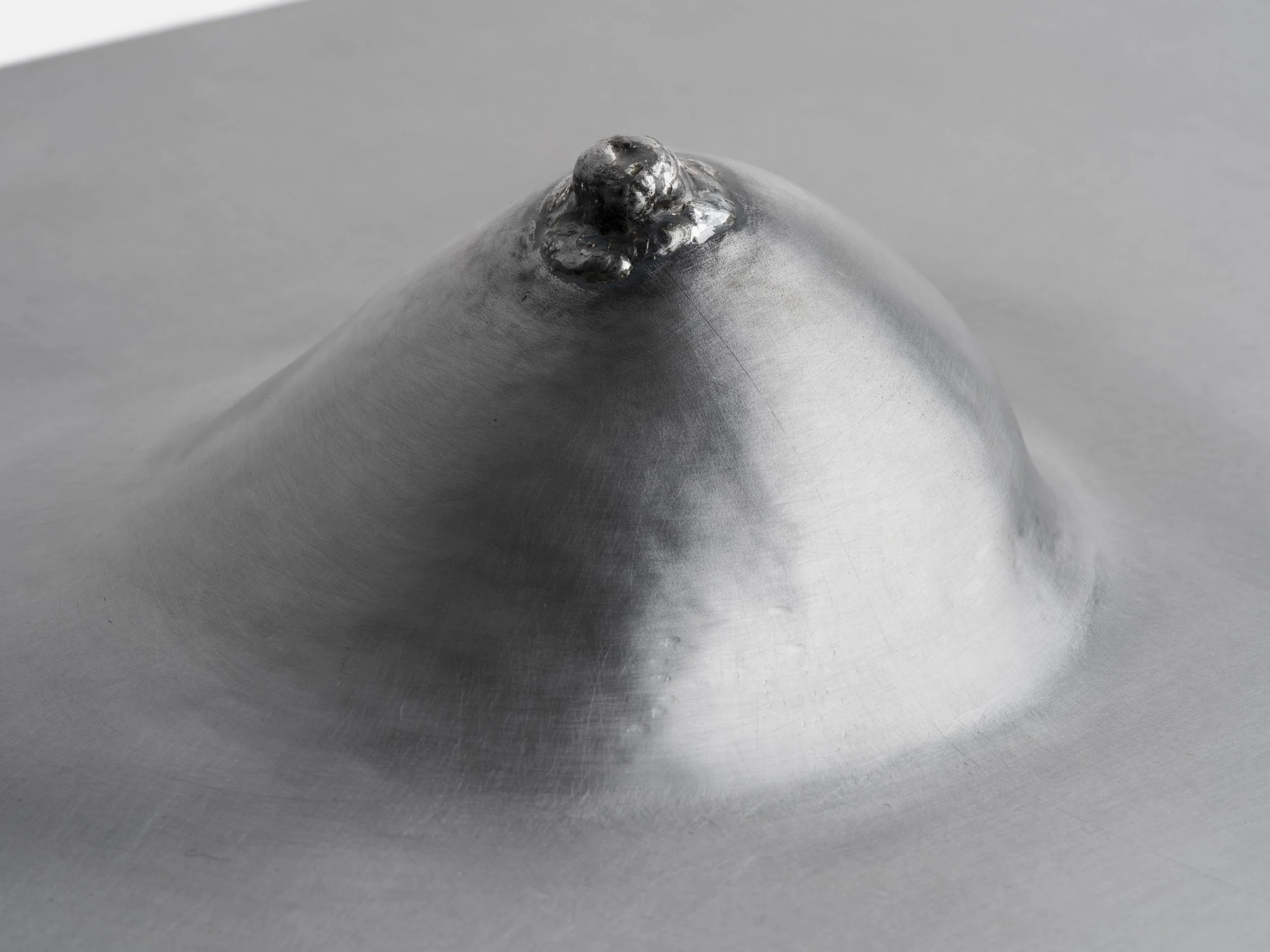 Steel Breast No.2 (detail1).jpg