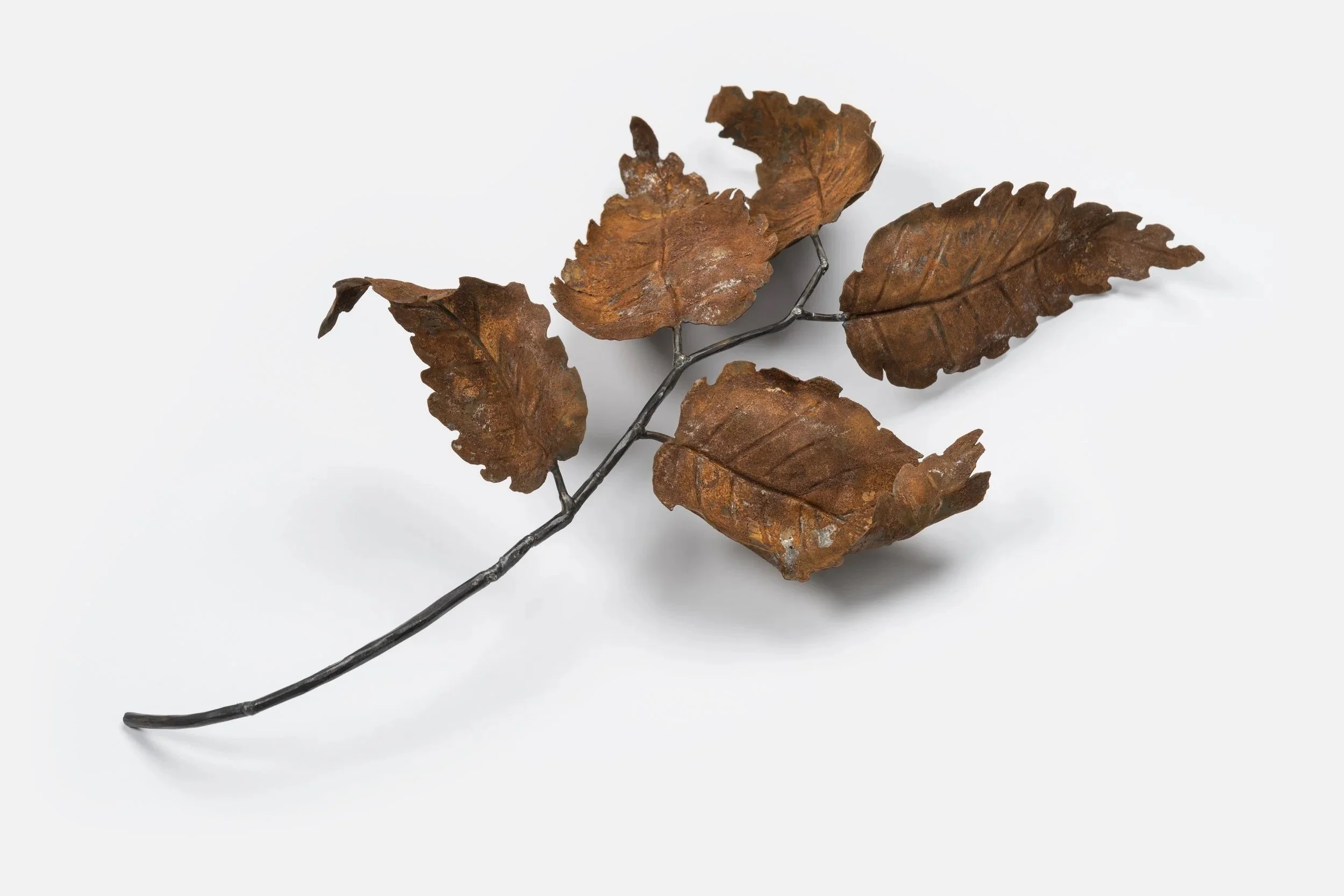 Hornbeam Twig view 3.jpg