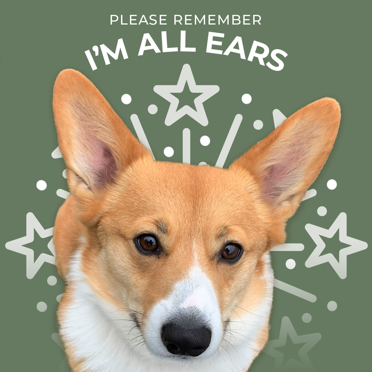 Please remember your neighbors are &quot;all ears.&quot; Wishing you a safe and happy 4th of July!
.
.
.
#branding 
#branddesign 
#brandidentitydesign 
#graphicdesigner 
#4thofjulysafety 
#4thofjulysafetyfordogs 
#4thofjulysafetyforpets 
#fireworksaf