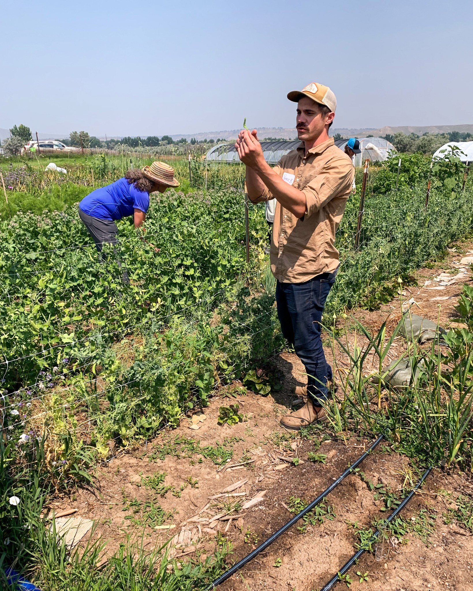 It was a pleasure to attend a Tour and Soil Health Practices Presentation hosted by Stone Soup Garden and Northern Plains Resource Council. 

Patrick Certain and Claire Overholt led a tour of their small-scale, regenerative farming operation, where t
