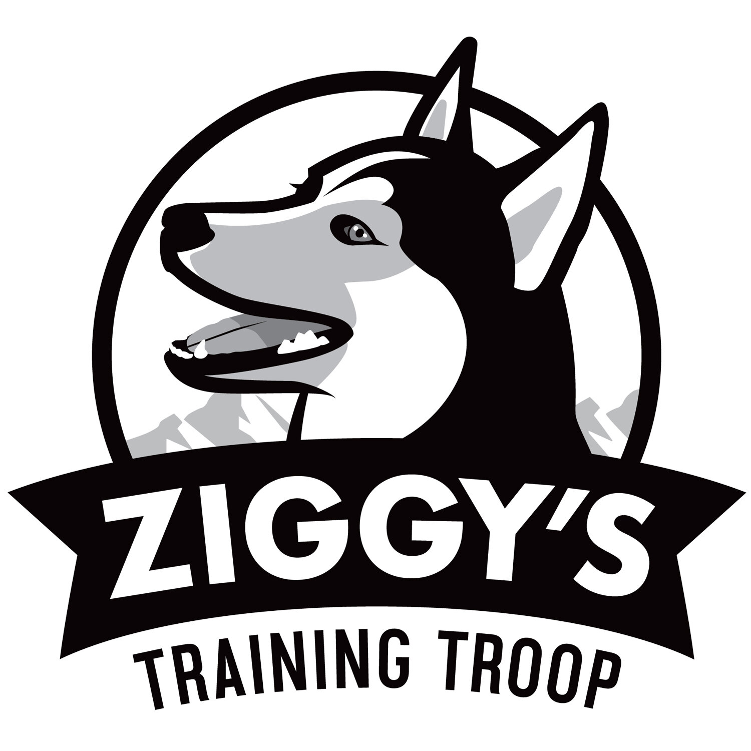 Logo and business card design for a dog training business based in Boulder, Colorado. 

Ziggy, a German Shepherd/Siberian Husky mix, inspired the logo graphics and provides a distinctive and memorable business name. Posed against the Flatirons of Bou