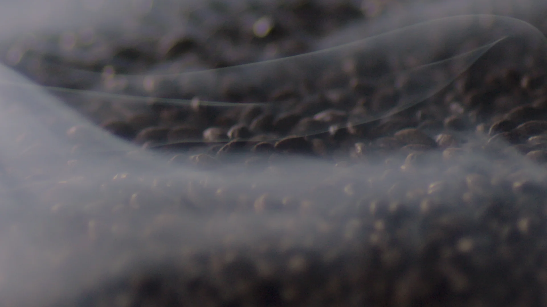  One minute ad featuring Dumfries &amp; Galloway based business Lola Rose Brewery, run by 22-year old Dean Mckelvey. The brewery is named after his daughter.  Featuring Dean Mckelvey Director: Rose Hendry Client: Business Gateway Producer: Ashley McP