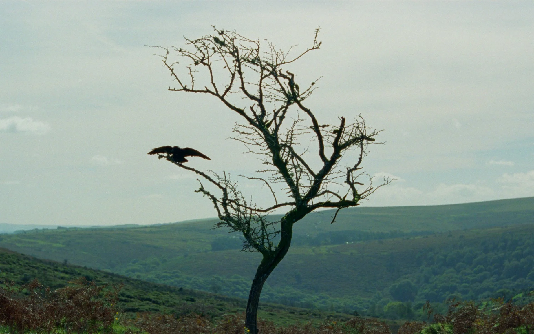 171205_THE SERMON - CUT8_EDL_GRADE.mov.00_00_47_23.Still003.jpg