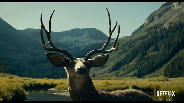 🦌 The new trailer for The Ballad of Buster Scruggs is out. Check the link in bio..... what do you think?
.
.
.
#netflix #netflixmovies #coenbrothers #vfx #vfxartist #millny #visualeffects #nuke #compositing #vfxcompositing #kylecody #kylecody.vfx #k