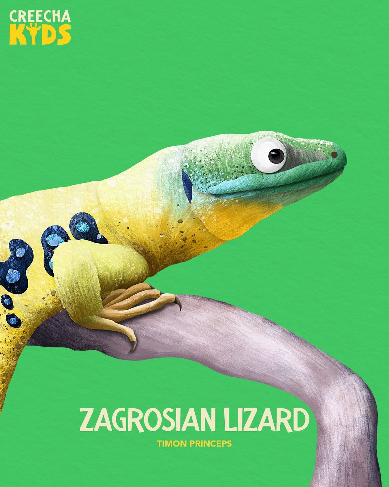 Today we are taking a look at the Zagrosian Lizard!
But first I want to congratulate our friend and collaborator Meaghan Gade for getting her PhD! So today our facts will be coming from DR. Meaghan Gade. You can follow her on Twitter (meaghan_regina