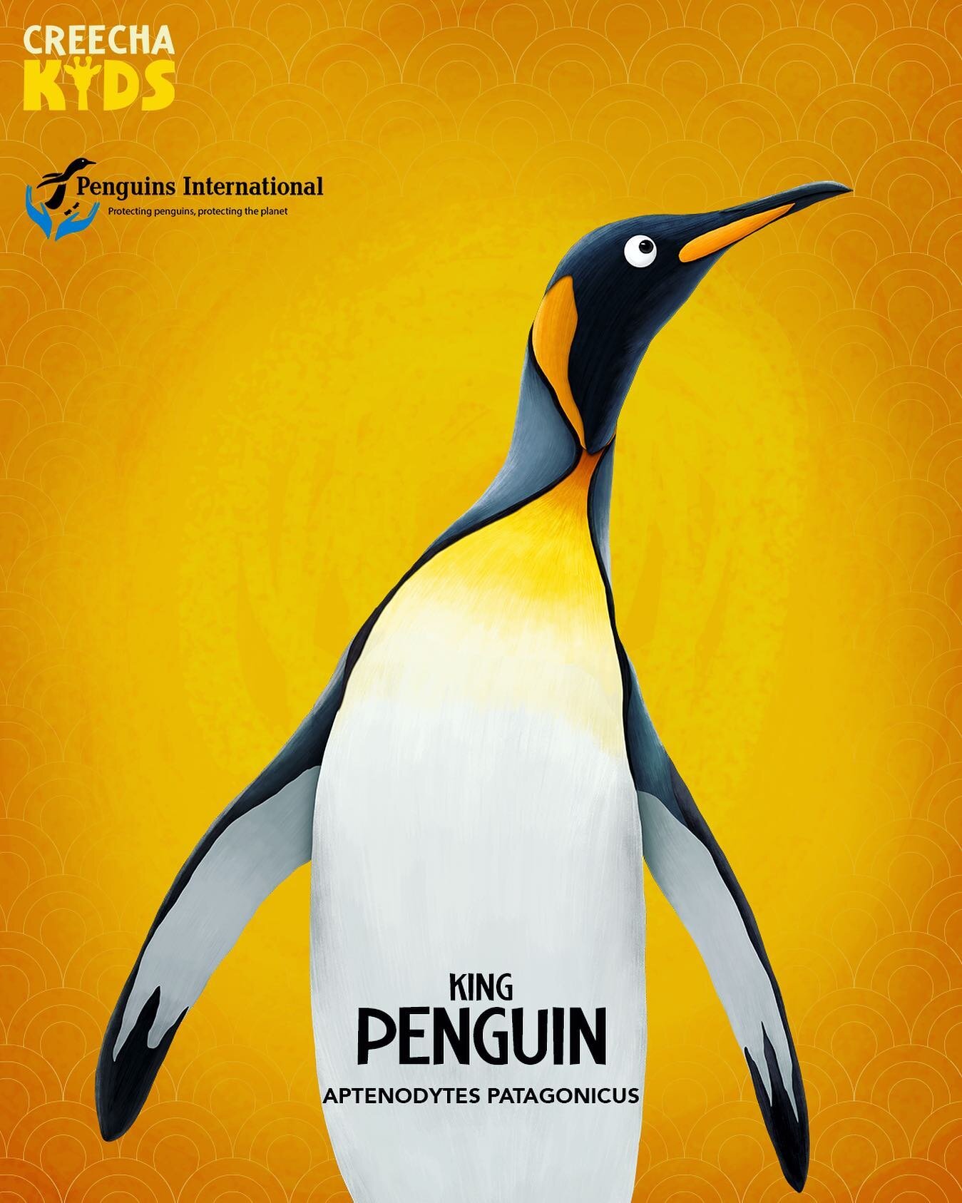 In honor of world penguin day coming up on Sunday April 25th, we are taking a look at King Penguins!
Our facts today come from Katie Propp ( @wildlifekatie ) Conservation Education Manager at @penguins_international

The King Penguin is the second la