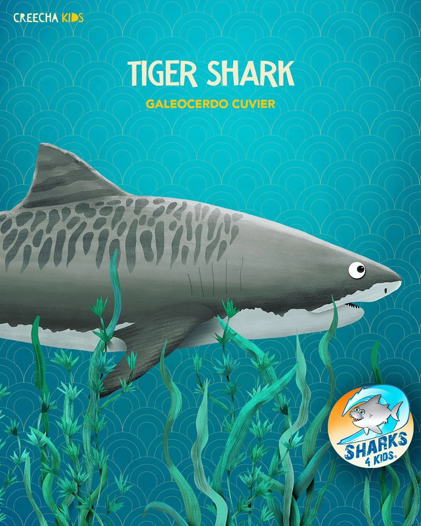 Today’s Tiger shark facts come from our friend Jillian Morris ( @biminisharkgirl ) Founder and President of Sharks 4 Kids ( @sharkeducation )
Sharks 4 Kids is a non-profit whose goal is to create a new generation of shark advocates through edu