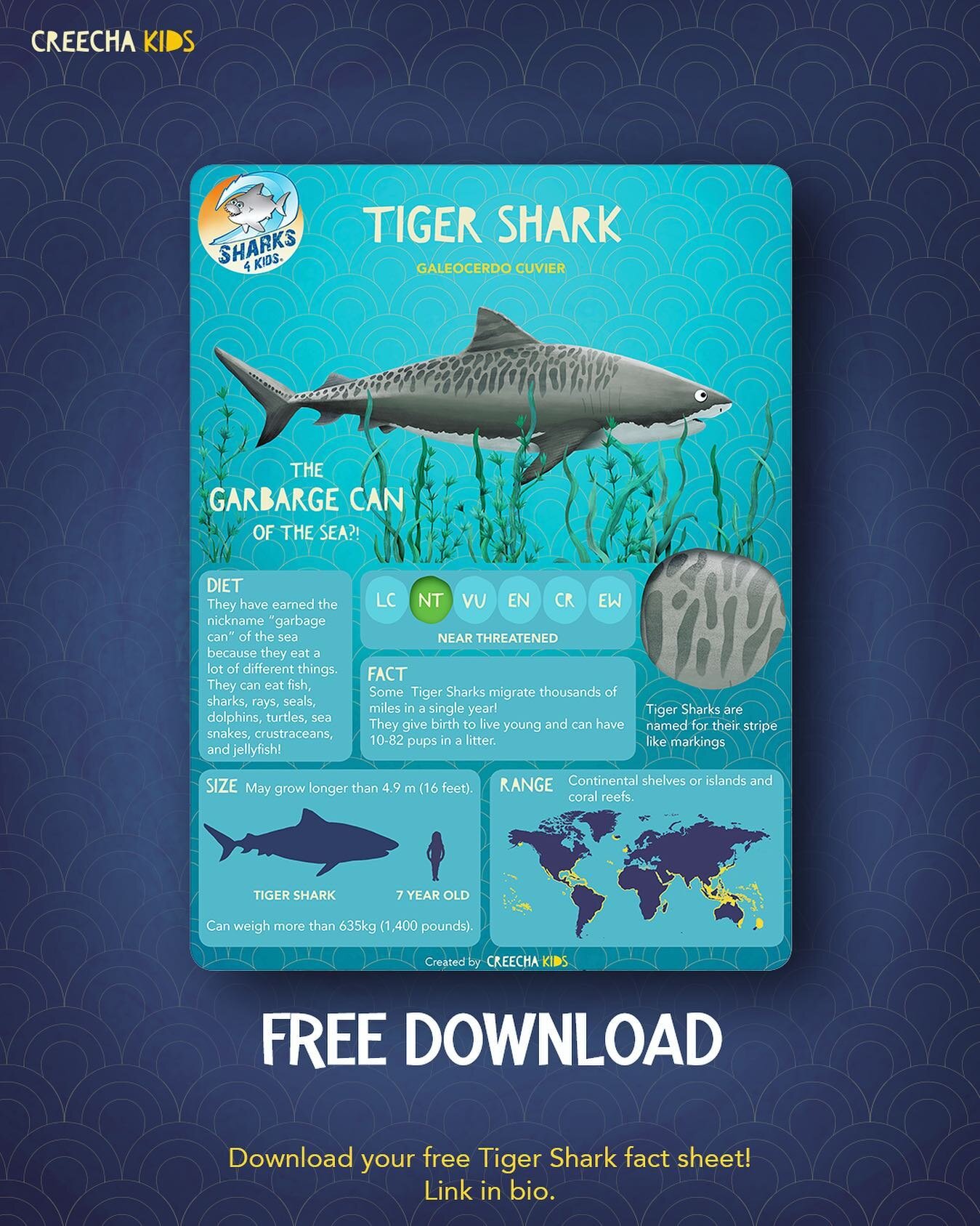 We have teamed up again with Jillian Morris ( @biminisharkgirl ) Founder and President of Sharks 4 Kids ( @sharkeducation ) to create this fun Tiger Shark fact sheet!
Sharks 4 Kids is a non-profit whose goal is to create a new generation of shark ad