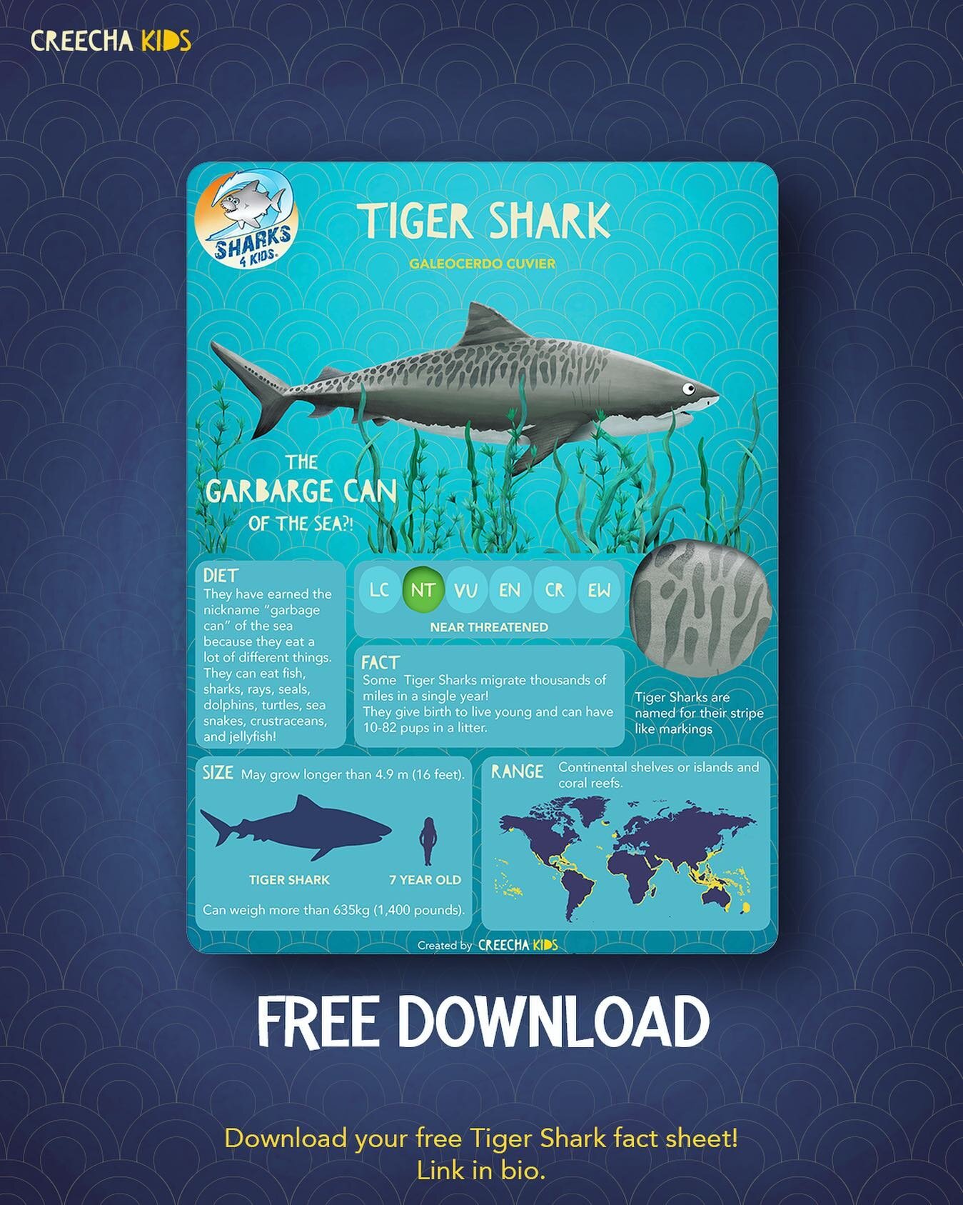 We have teamed up again with Jillian Morris ( @biminisharkgirl ) Founder and President of Sharks 4 Kids ( @sharkeducation ) to create this fun Tiger Shark fact sheet!

Sharks 4 Kids is a non-profit whose goal is to create a new generation of shark ad