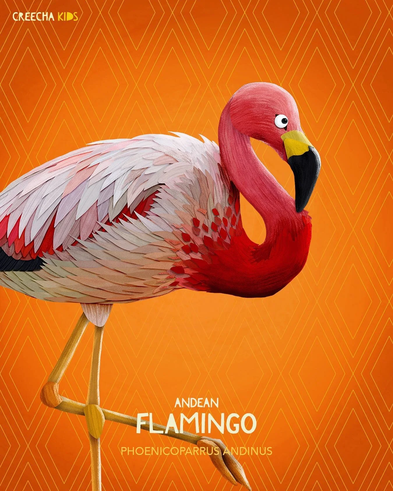 The Andean Flamingo is one of the rarest flamingo species in the world. They live in the wetlands of the Andes Mountains in South America and are listed as Vulnerable.
Andean flamingos are filter feeders, eating a wide variety of food from fish to i