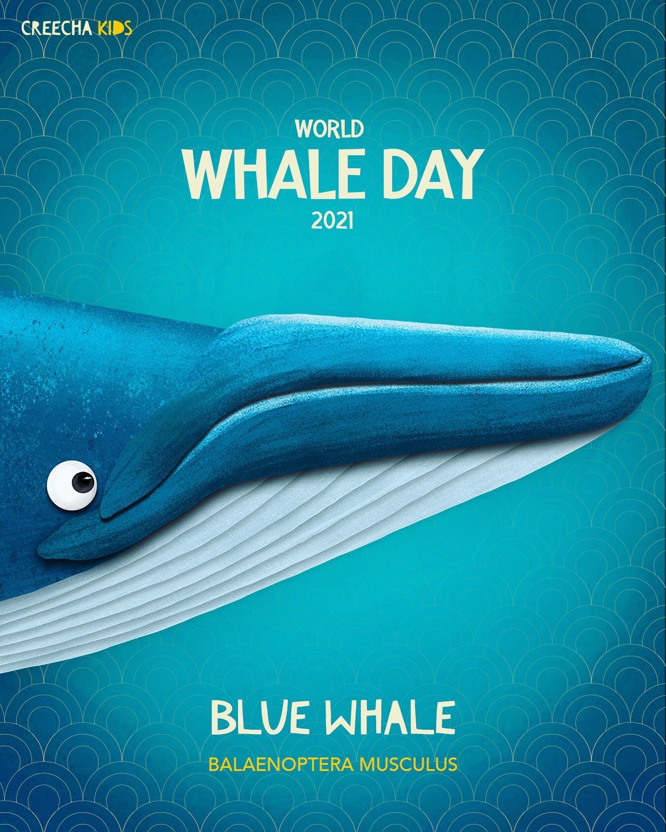 Today is World Whale Day! Today is all about spreading Whale awareness so please share this post to do your part!

The Blue Whale breaks almost every record in the animal world. It is larger, longer, heavier and louder than any other animal on Earth!