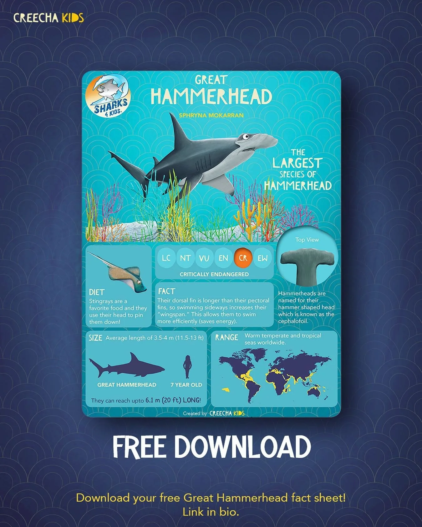 We have teamed up with Jillian Morris ( @biminisharkgirl ) Founder and President of Sharks 4 Kids ( @sharkeducation ) to create this fun Great Hammerhead fact sheet!
Sharks 4 Kids is a non-profit whose goal is to create a new generation of shark adv
