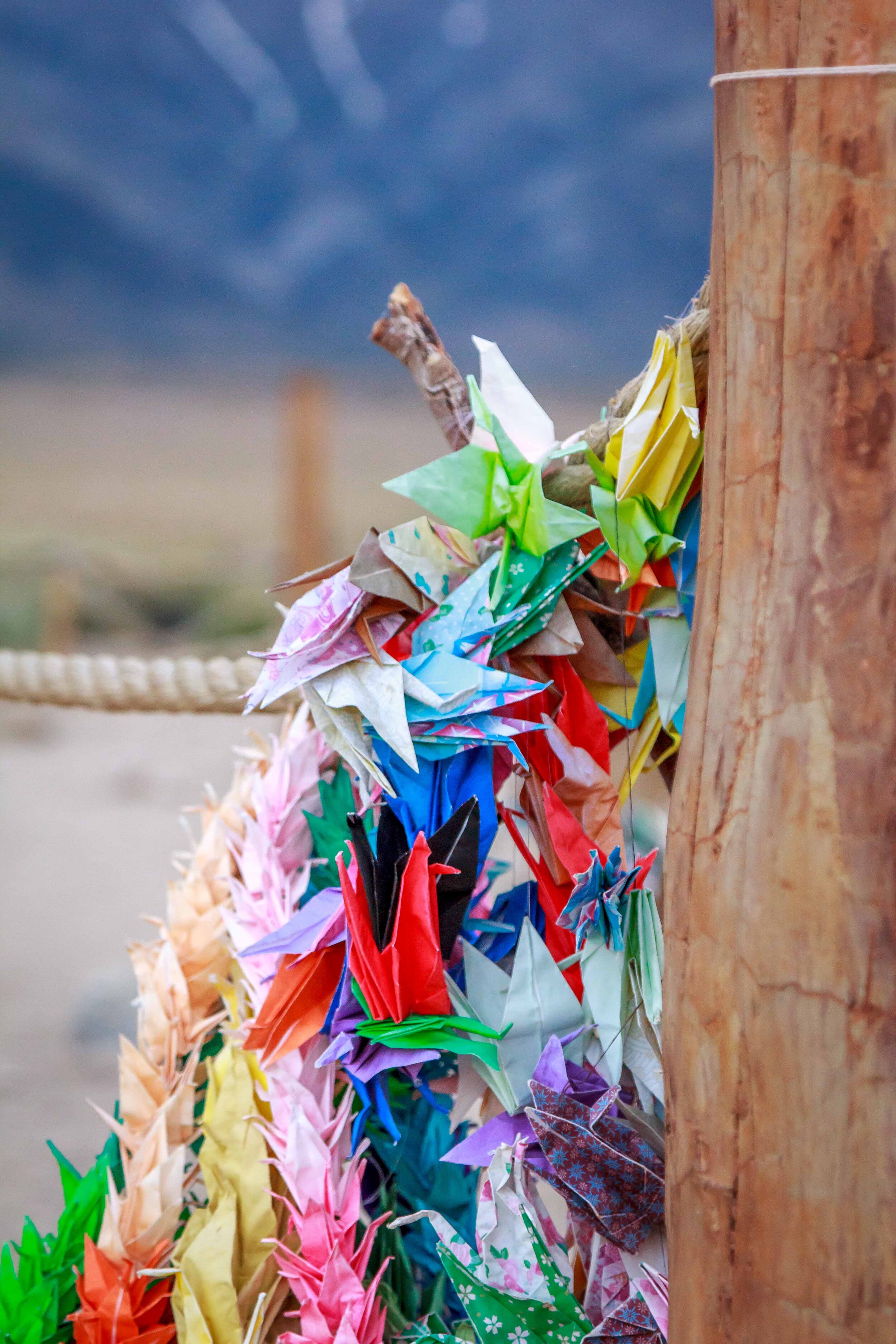 1000 Cranes