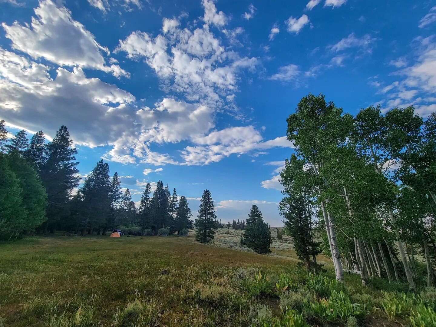 Bit of a drive. Then go some more. After that, keep going a bit. Sure is pretty. #forestbathing #sublimeviews #landscapephoto #lowclouds #twistyroads #getoutside #nofilter #wanderlust #bluesky #nopenotlostimrihtwhereineedtobe #landscapephoto