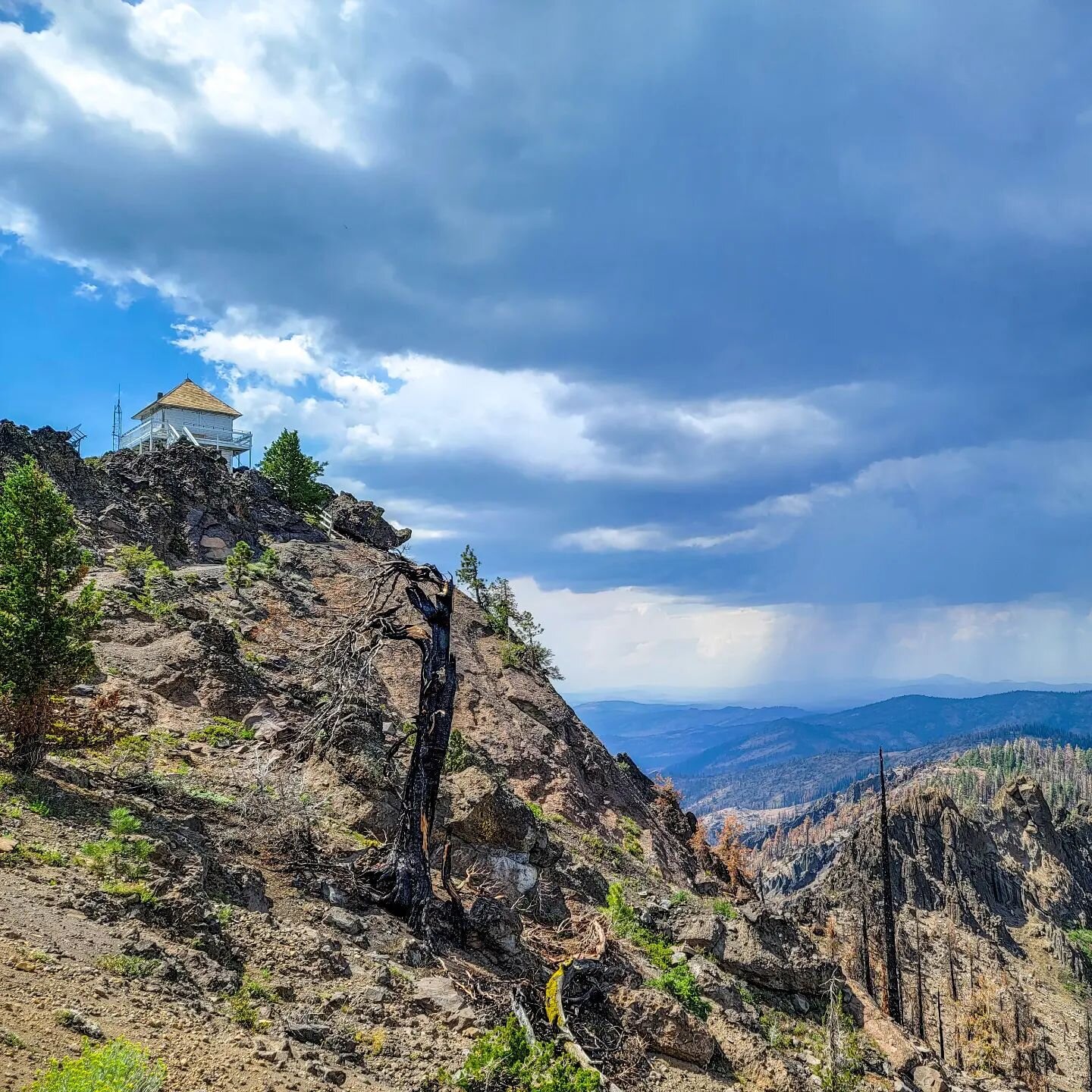 Dixie Mountain Fire Lookout. The lookout house was built in 1928 and has been used continuously since then. It is the oldest lookout in the Plumas National Forest.

It survived the 2021 Dixie fire and remains steadfast to continue its service. 
.
.
#