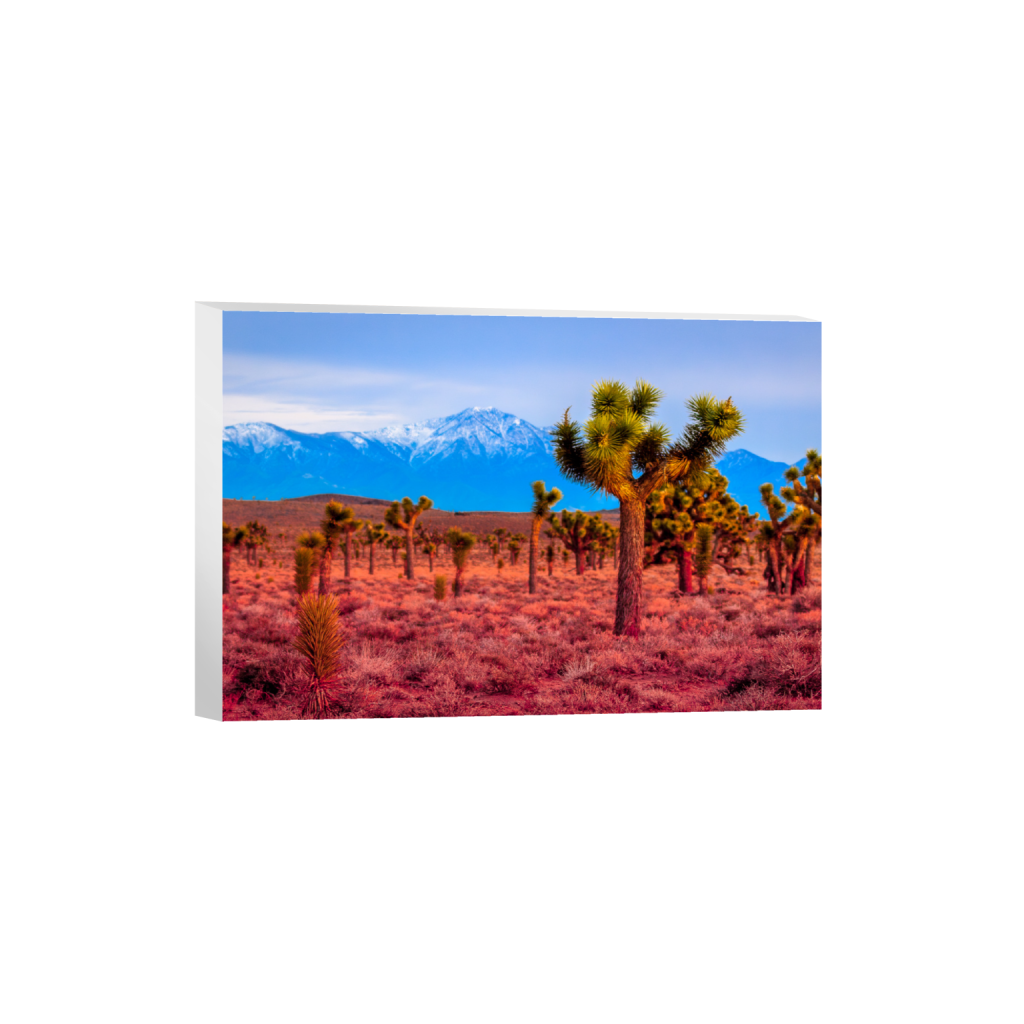 ptq_7_3_463_0_2554_1703_0_false_ffffff_0_0_.png