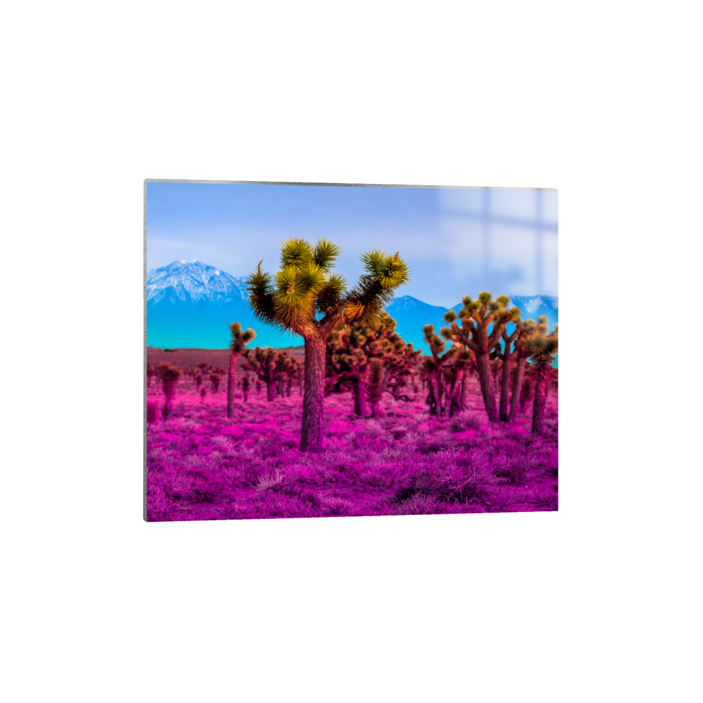 ptq_13_6_1318_0_2128_1703_0_false_ffffff_0_0_.png