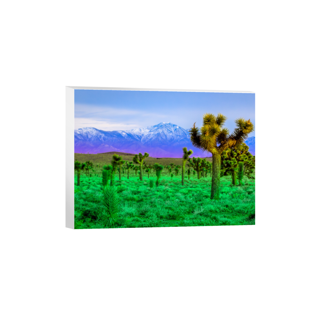 ptq_7_5_425_0_2270_1703_0_false_ffffff_0_0_.png