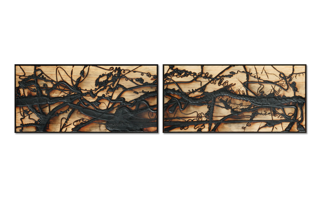 Burnt Panel Diptych No. 24