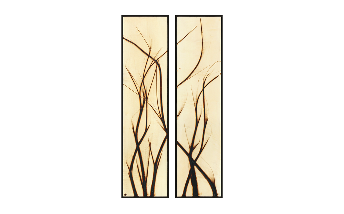 Burnt Panel Diptych No. 38